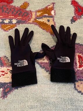 The North Face Men's Outdoors Winter Insulated Fleece Ski/Snow Gloves